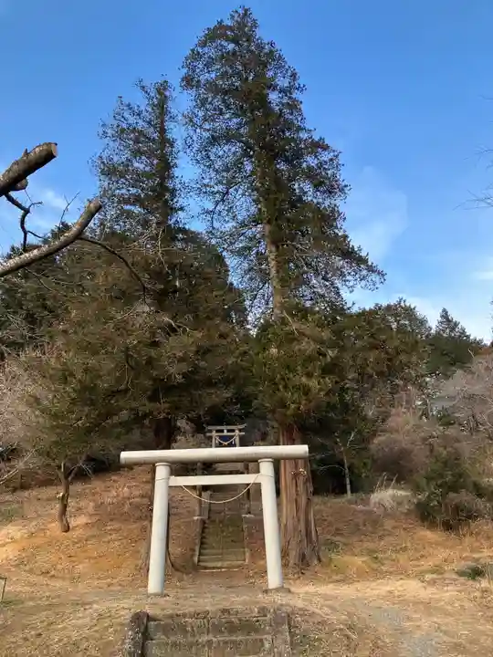 品川神社の鳥居