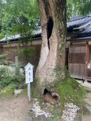 葛城一言主神社の自然