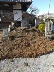 吉祥寺(群馬県)