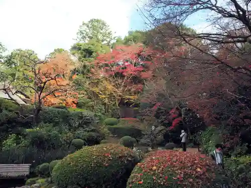 詩仙堂（丈山寺）の庭園