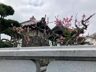 中田寺の{uncategorized: "未分類", other: "その他", undefined: "問題あり", building: "その他建物", grave: "お墓", sacred_gate: "鳥居", guardian: "狛犬", statue: "像", buddha: "仏像", history: "歴史", nature: "自然", garden: "庭園", animal: "動物", pagoda: "塔", temizu: "手水舎", mountain_gate: "山門・神門", sanctuary: "本殿・本堂", subordinate: "末社・摂社", art: "芸術", scenery: "景色", jizo: "地蔵", ema: "絵馬", goshuin: "御朱印", omikuji: "おみくじ", items: "授与品その他", amulet: "お守り", goshuincho: "御朱印帳", eats: "食事", festival: "お祭り", votive_dance: "神楽", shichigosan: "七五三参", wedding: "結婚式", experience: "体験その他", initially: "初詣", around: "周辺", anti_infection: "感染症対策"}
