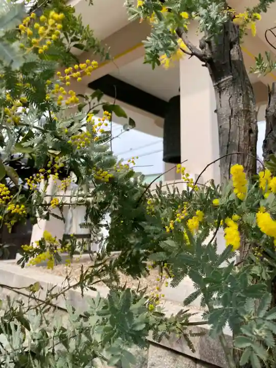 実相院(兵庫県)