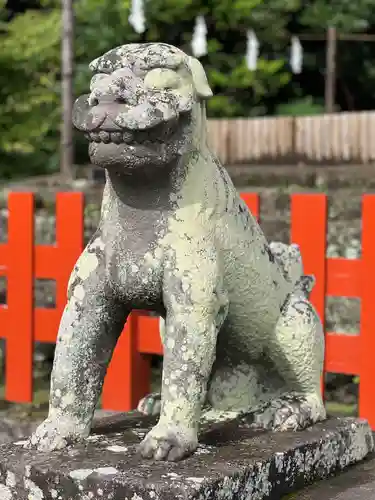 鶴岡八幡宮の狛犬