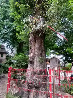 三輪神社(愛知県)