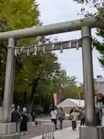 浅草神社の鳥居