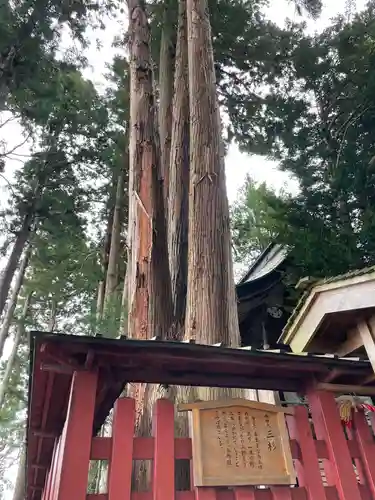 櫛引八幡宮の自然