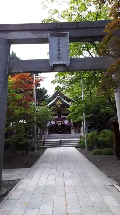 彌彦神社 (伊夜日子神社)の鳥居