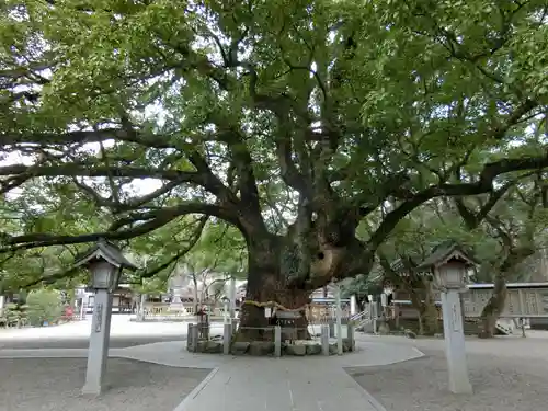 大麻比古神社の自然