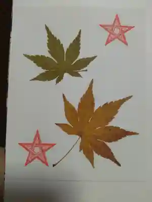 木田神社(福井県)