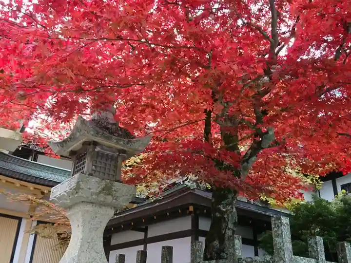 壇上伽藍のその他建物