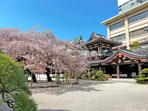 東長寺の建物その他