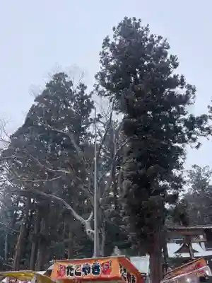 穂高神社本宮(長野県)