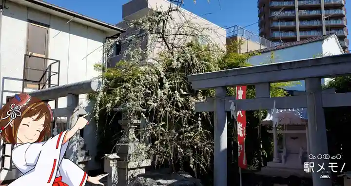 堀切天祖神社の鳥居