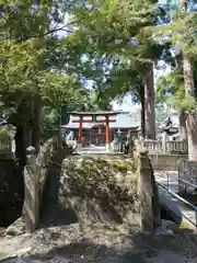 一宮神社(徳島県)