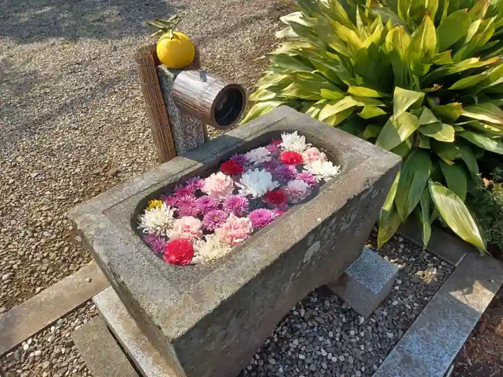 三光院の手水舎