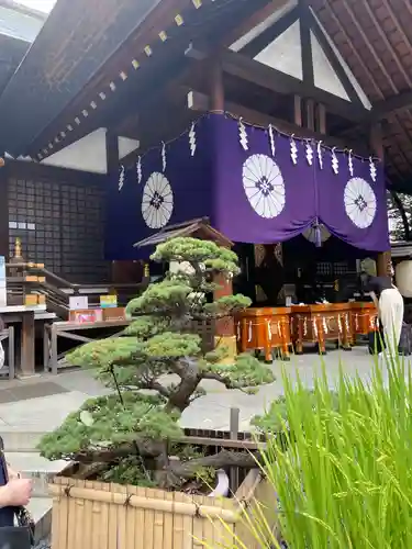 東京大神宮の芸術