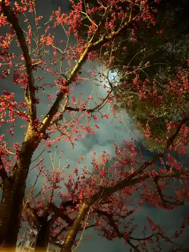 櫛田神社の{uncategorized: "未分類", other: "その他", undefined: "問題あり", building: "その他建物", grave: "お墓", sacred_gate: "鳥居", guardian: "狛犬", statue: "像", buddha: "仏像", history: "歴史", nature: "自然", garden: "庭園", animal: "動物", pagoda: "塔", temizu: "手水舎", mountain_gate: "山門・神門", sanctuary: "本殿・本堂", subordinate: "末社・摂社", art: "芸術", scenery: "景色", jizo: "地蔵", ema: "絵馬", goshuin: "御朱印", omikuji: "おみくじ", items: "授与品その他", amulet: "お守り", goshuincho: "御朱印帳", eats: "食事", festival: "お祭り", votive_dance: "神楽", shichigosan: "七五三参", wedding: "結婚式", experience: "体験その他", initially: "初詣", around: "周辺", anti_infection: "感染症対策"}
