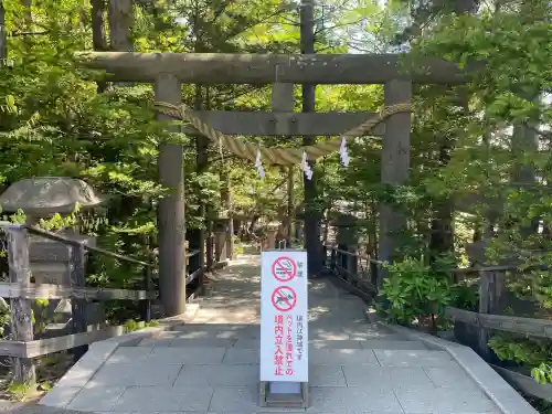 白石神社の{uncategorized: "未分類", other: "その他", undefined: "問題あり", building: "その他建物", grave: "お墓", sacred_gate: "鳥居", guardian: "狛犬", statue: "像", buddha: "仏像", history: "歴史", nature: "自然", garden: "庭園", animal: "動物", pagoda: "塔", temizu: "手水舎", mountain_gate: "山門・神門", sanctuary: "本殿・本堂", subordinate: "末社・摂社", art: "芸術", scenery: "景色", jizo: "地蔵", ema: "絵馬", goshuin: "御朱印", omikuji: "おみくじ", items: "授与品その他", amulet: "お守り", goshuincho: "御朱印帳", eats: "食事", festival: "お祭り", votive_dance: "神楽", shichigosan: "七五三参", wedding: "結婚式", experience: "体験その他", initially: "初詣", around: "周辺", anti_infection: "感染症対策"}
