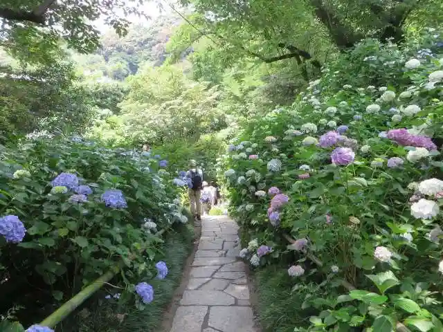矢田寺(奈良県)