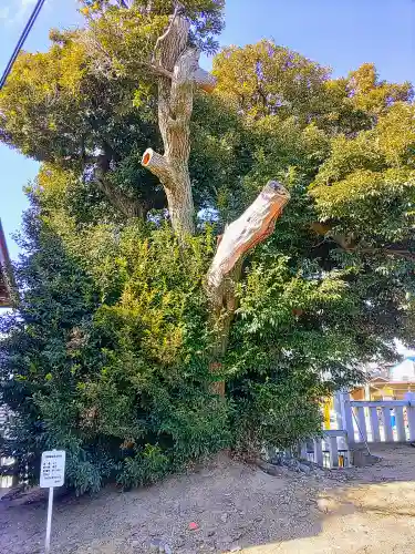 下谷八幡神社の自然