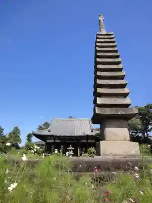 般若寺 ❁コスモス寺❁の塔