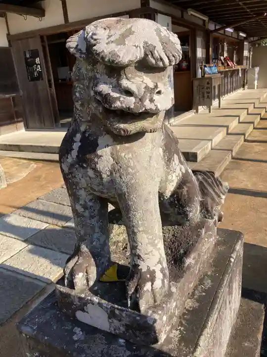 建長寺 半僧坊の狛犬