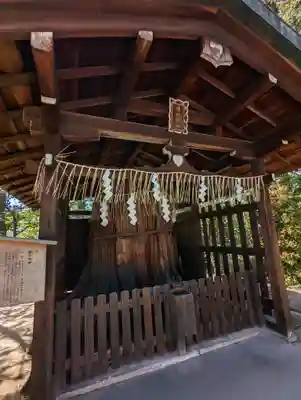敷地神社（わら天神宮）(京都府)