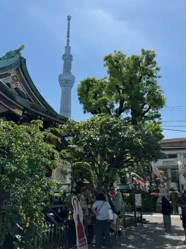 高木神社の{uncategorized: "未分類", other: "その他", undefined: "問題あり", building: "その他建物", grave: "お墓", sacred_gate: "鳥居", guardian: "狛犬", statue: "像", buddha: "仏像", history: "歴史", nature: "自然", garden: "庭園", animal: "動物", pagoda: "塔", temizu: "手水舎", mountain_gate: "山門・神門", sanctuary: "本殿・本堂", subordinate: "末社・摂社", art: "芸術", scenery: "景色", jizo: "地蔵", ema: "絵馬", goshuin: "御朱印", omikuji: "おみくじ", items: "授与品その他", amulet: "お守り", goshuincho: "御朱印帳", eats: "食事", festival: "お祭り", votive_dance: "神楽", shichigosan: "七五三参", wedding: "結婚式", experience: "体験その他", initially: "初詣", around: "周辺", anti_infection: "感染症対策"}