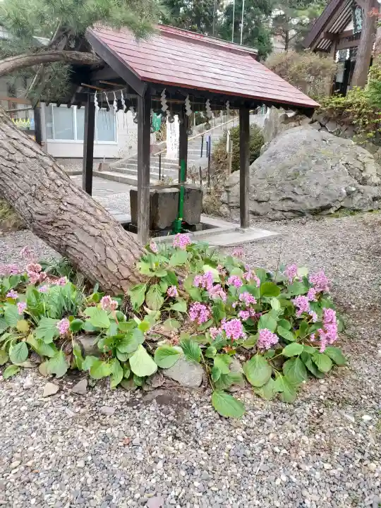 船魂神社の{uncategorized: "未分類", other: "その他", undefined: "問題あり", building: "その他建物", grave: "お墓", sacred_gate: "鳥居", guardian: "狛犬", statue: "像", buddha: "仏像", history: "歴史", nature: "自然", garden: "庭園", animal: "動物", pagoda: "塔", temizu: "手水舎", mountain_gate: "山門・神門", sanctuary: "本殿・本堂", subordinate: "末社・摂社", art: "芸術", scenery: "景色", jizo: "地蔵", ema: "絵馬", goshuin: "御朱印", omikuji: "おみくじ", items: "授与品その他", amulet: "お守り", goshuincho: "御朱印帳", eats: "食事", festival: "お祭り", votive_dance: "神楽", shichigosan: "七五三参", wedding: "結婚式", experience: "体験その他", initially: "初詣", around: "周辺", anti_infection: "感染症対策"}