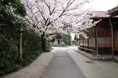 観音寺の建物その他