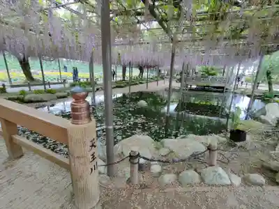 津島神社の周辺