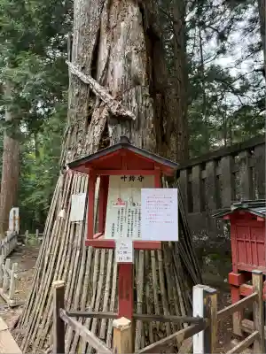 日光東照宮(栃木県)