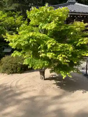花山院菩提寺(兵庫県)