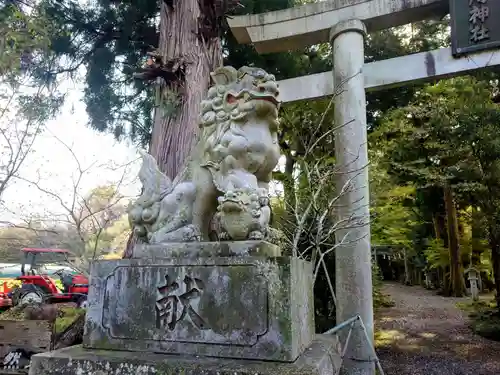 五所駒瀧神社(茨城県)