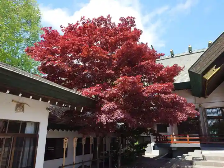 中嶋神社の自然