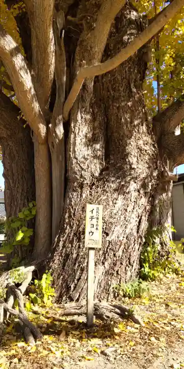 八大龍王辨財天(京都府)