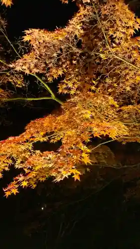 知恩院(京都府)