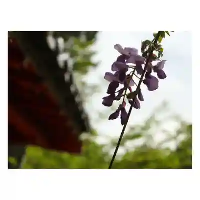 岐阜稲荷山本社(岐阜県)