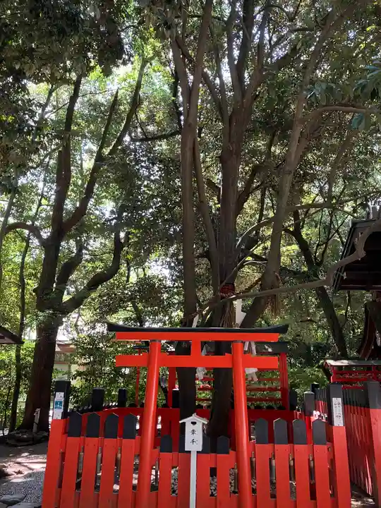 賀茂御祖神社(下鴨神社)(京都府)