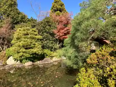 城南宮(京都府)