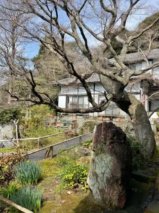 妙法寺の{uncategorized: "未分類", other: "その他", undefined: "問題あり", building: "その他建物", grave: "お墓", sacred_gate: "鳥居", guardian: "狛犬", statue: "像", buddha: "仏像", history: "歴史", nature: "自然", garden: "庭園", animal: "動物", pagoda: "塔", temizu: "手水舎", mountain_gate: "山門・神門", sanctuary: "本殿・本堂", subordinate: "末社・摂社", art: "芸術", scenery: "景色", jizo: "地蔵", ema: "絵馬", goshuin: "御朱印", omikuji: "おみくじ", items: "授与品その他", amulet: "お守り", goshuincho: "御朱印帳", eats: "食事", festival: "お祭り", votive_dance: "神楽", shichigosan: "七五三参", wedding: "結婚式", experience: "体験その他", initially: "初詣", around: "周辺", anti_infection: "感染症対策"}