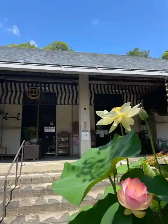 伊勢の国 四天王寺(三重県)