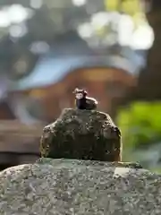 住吉神社(宮崎県)