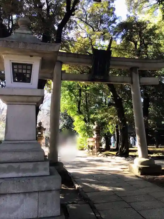 赤坂氷川神社(東京都)