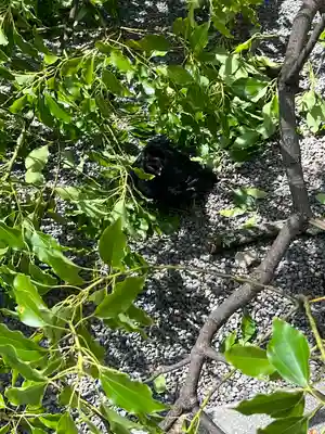 來宮神社(静岡県)