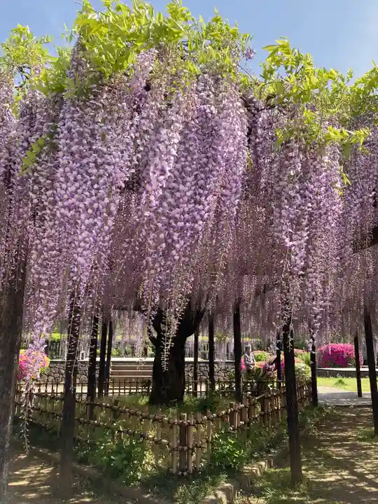 玉敷神社(埼玉県)