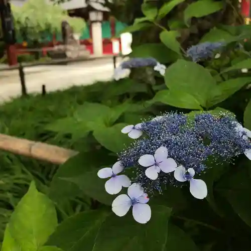 志波彦神社・鹽竈神社の自然