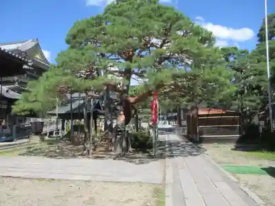 善光寺大勧進(長野県)