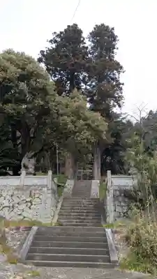 白山神社の自然