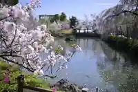 三嶋大社(静岡県)